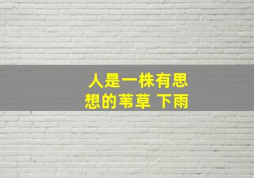 人是一株有思想的苇草 下雨